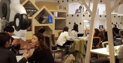 挽救商业设施方案#04-室内儿童游乐场的潜在功能