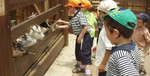 挽救商业设施#13-室内动物乐园的效果